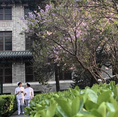 微信图片_20200525141052
