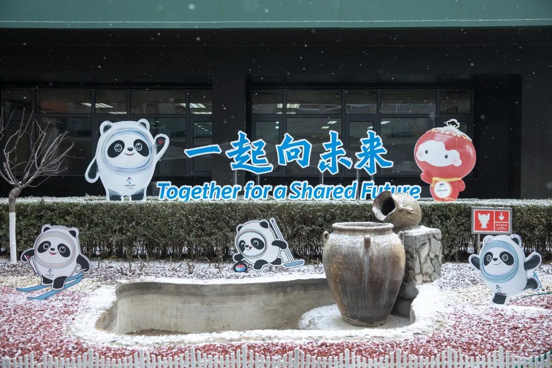 63ba9ad81a064db3952064449cda44c0.png