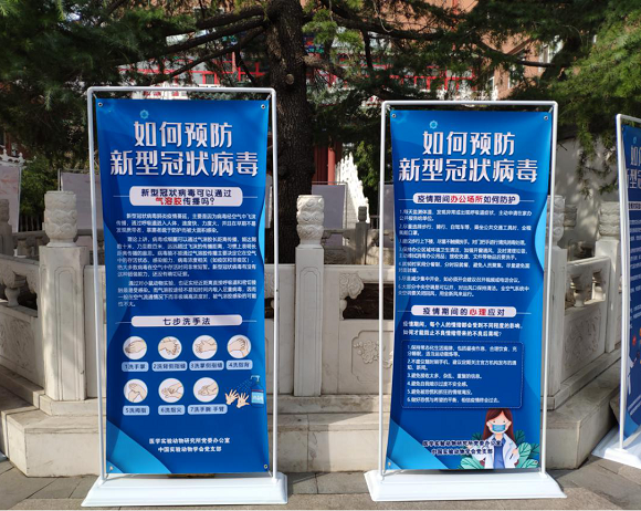 图片7